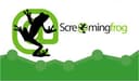 Screaming Frog SEO spider tool used by Exora Leads for deep technical website audits